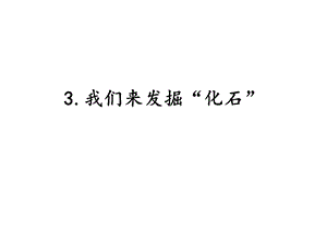 湘科版六年級下冊科學(xué)2.3我們來發(fā)掘“化石”課件.pptx
