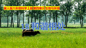 冀人版六年級上冊科學第18課《和諧相處》課件.pptx