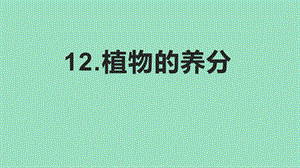 冀人版六年級上冊科學第12課《植物的養(yǎng)分》課件.pptx