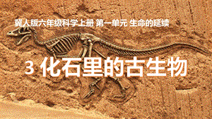 冀人版六年級上冊科學第03課《化石里的古生物》課件.pptx