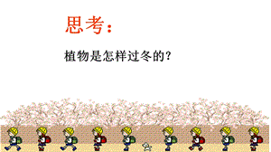 大象版二年級下冊科學3.3四季與植物-課件.pptx