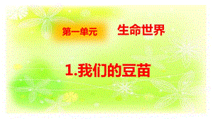 大象版四年級下冊科學(xué)1.1我們的豆苗-課件.pptx