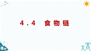 大象版五年級(jí)下冊(cè)科學(xué)4.4食物鏈-課件.pptx