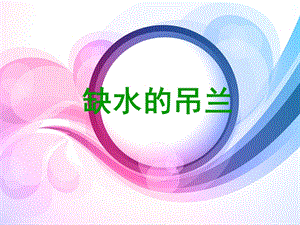 大象版一年級下冊科學(xué)2.2缺水的吊蘭-課件.ppt