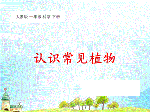 大象版一年級下冊科學2.1認識常見植物-課件.ppt