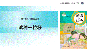 人教部編版二年級下冊道德與法治4.試種一粒籽-課件.pptx