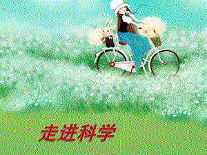 人教鄂教版一年級下冊科學(xué)第06課：校園尋寶課件(共8張PPT).pptx