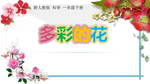 人教鄂教版一年級下冊科學1.2《多彩的花》課件（10張ppt）.ppt