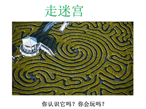 浙美版二年級上冊美術走迷宮課件2.ppt