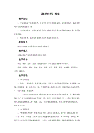 魯教版五年級上冊美術微觀世界教案.doc