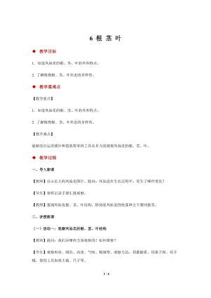 人教鄂教版三年級下冊科學6 根 莖 葉 示范教案1.docx