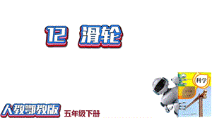 人教鄂教版五年級下冊科學12輪滑-課件（25張PPT）.pptx