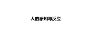 人教鄂教版五年級下冊科學8-人的感知和反應-課件.pptx