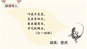 部編版一年級下冊語文20 小壁虎借尾巴 教學課件.pptx