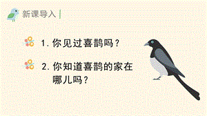 部編版一年級下冊語文5樹和喜鵲教學課件.pptx