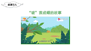 人教部編版二年級下冊語文（上課課件）22.小毛蟲.pptx