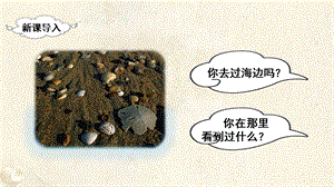人教部編版二年級(jí)下冊(cè)語文（教學(xué)課件）識(shí)字3“貝”的故事.pptx