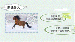 人教部編版二年級(jí)下冊(cè)語(yǔ)文（教學(xué)課件）7.一匹出色的馬第1課時(shí).pptx