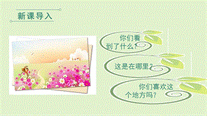 人教部編版二年級下冊語文（教學課件）3.開滿鮮花的小路第1課時.pptx