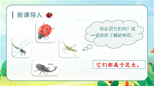 人教部編版三年級(jí)下冊(cè)語(yǔ)文（教學(xué)課件）4.昆蟲備忘錄.pptx