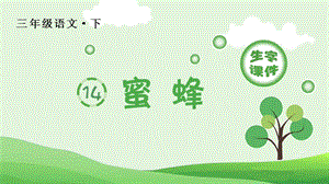 人教部編版三年級下冊語文（生字課件）14.蜜蜂.pptx