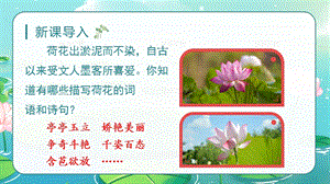 人教部編版三年級(jí)下冊(cè)語(yǔ)文（教學(xué)課件）3.荷花第1課時(shí).pptx