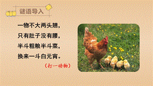 人教部編版四年級下冊語文（教學課件）14.母雞.pptx