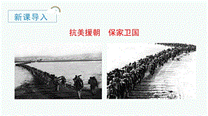 人教部編版五年級下冊語文（教學課件）10 青山處處埋忠骨.pptx