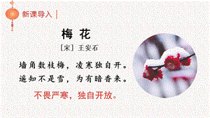 人教部編版五年級下冊語文（教學課件）4 梅花魂.pptx