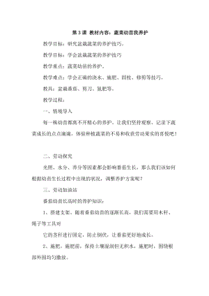 浙教版四年級下冊勞動2.3《蔬菜幼苗我養護》教案.docx