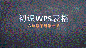 粵科版六年級下冊信息技術(shù)第1課認(rèn)識WPS表格-課件.pptx