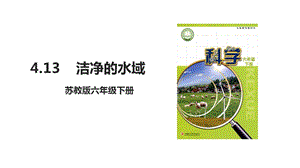 蘇教版六年級下冊科學4.13潔凈的水域-課件.ppt