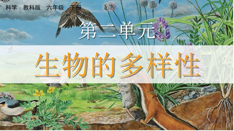 教科版六年級(jí)下冊科學(xué)2.1 校園生物大搜索-課件+視頻素材.rar