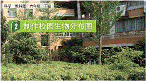 教科版六年級下冊科學2.2 制作校園生物分布圖-課件.pptx