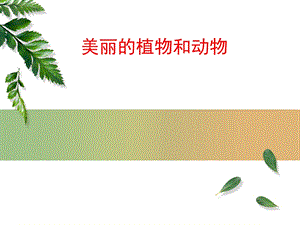 人教版一年級上冊美術美麗的植物和動物4-課件.ppt
