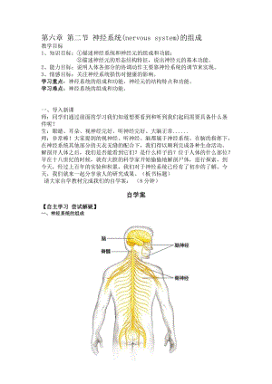 人教版七下生物6.2《神經系統的組成》教案（周老師公開課資料）.doc