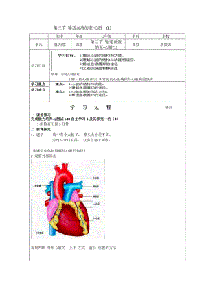 人教版七下生物4.3《輸送血液的泵──心臟》教案（任老師公開課資源）.docx