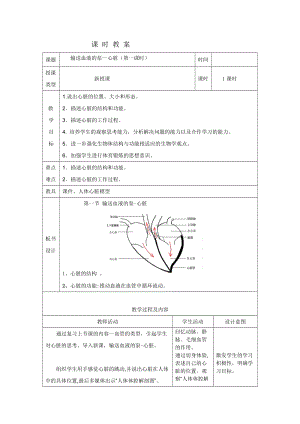 人教版七下生物4.3《輸送血液的泵──心臟》教案（鄭老師公開課資源）.doc