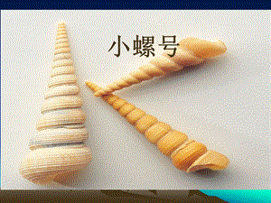 湘藝版一年級(jí)下冊(cè)音樂(lè)《小螺號(hào)》課件3.ppt