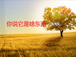 湘藝版一年級下冊音樂《你說它是啥東西》課件1.ppt