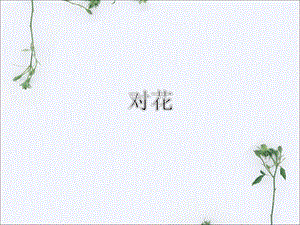湘藝版四年級下冊音樂《對花》課件1.ppt