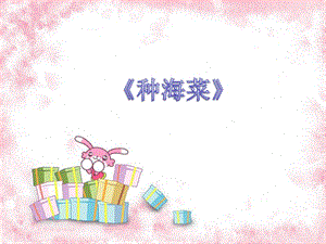 湘藝版三年級上冊音樂《種海菜》課件.ppt