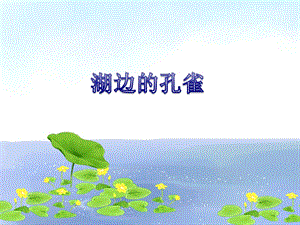 冀少版二年級上冊音樂《湖邊的孔雀》課件.ppt
