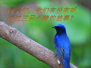 湘藝版一年級上冊音樂《三只小豬》課件2.ppt