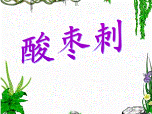 湘藝版三年級下冊音樂《酸棗刺》課件.ppt