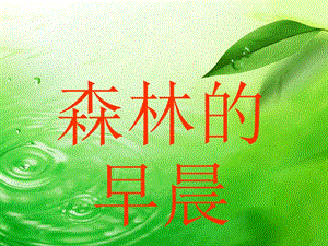 冀少版二年級上冊音樂《森林的早晨》課件.ppt
