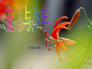 湘藝版五年級(jí)上冊(cè)音樂花兒與少年課件.ppt