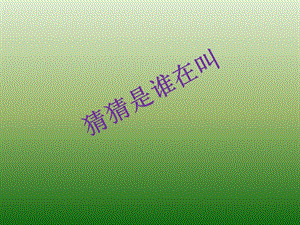 湘藝版一年級下冊音樂《母雞叫咯咯》課件3.ppt