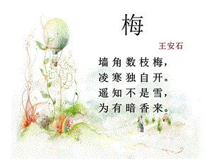 湘藝版五年級上冊音樂《踏雪尋梅》課件1.ppt