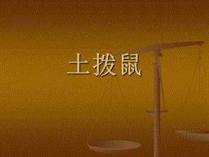 湘藝版六年級上冊音樂《土撥鼠》課件.ppt